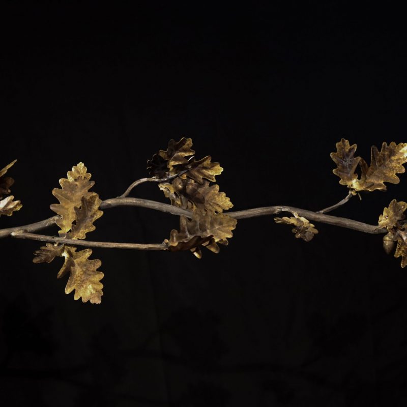 Sylvan Collection